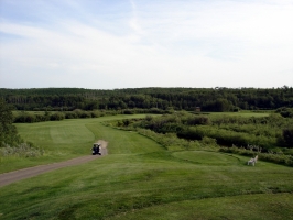 Mannville Riverview Golf Course