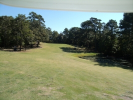 #13 elevated Green from Seniors Tee box