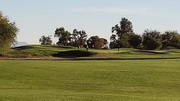 Falcon Golf Club 