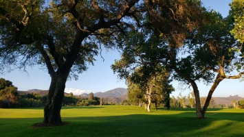 Cottonwood Golf Club - Ivanhoe Course
