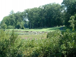 Butternut Farm Golf Club