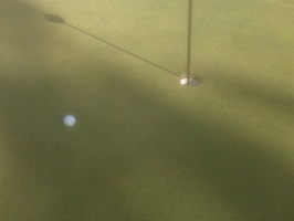 Almost Hole in One on 11