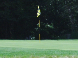 The Fox Golf Club