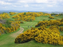 Braid Hills Golf Course